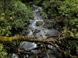 Stormwater and watershed management visualization